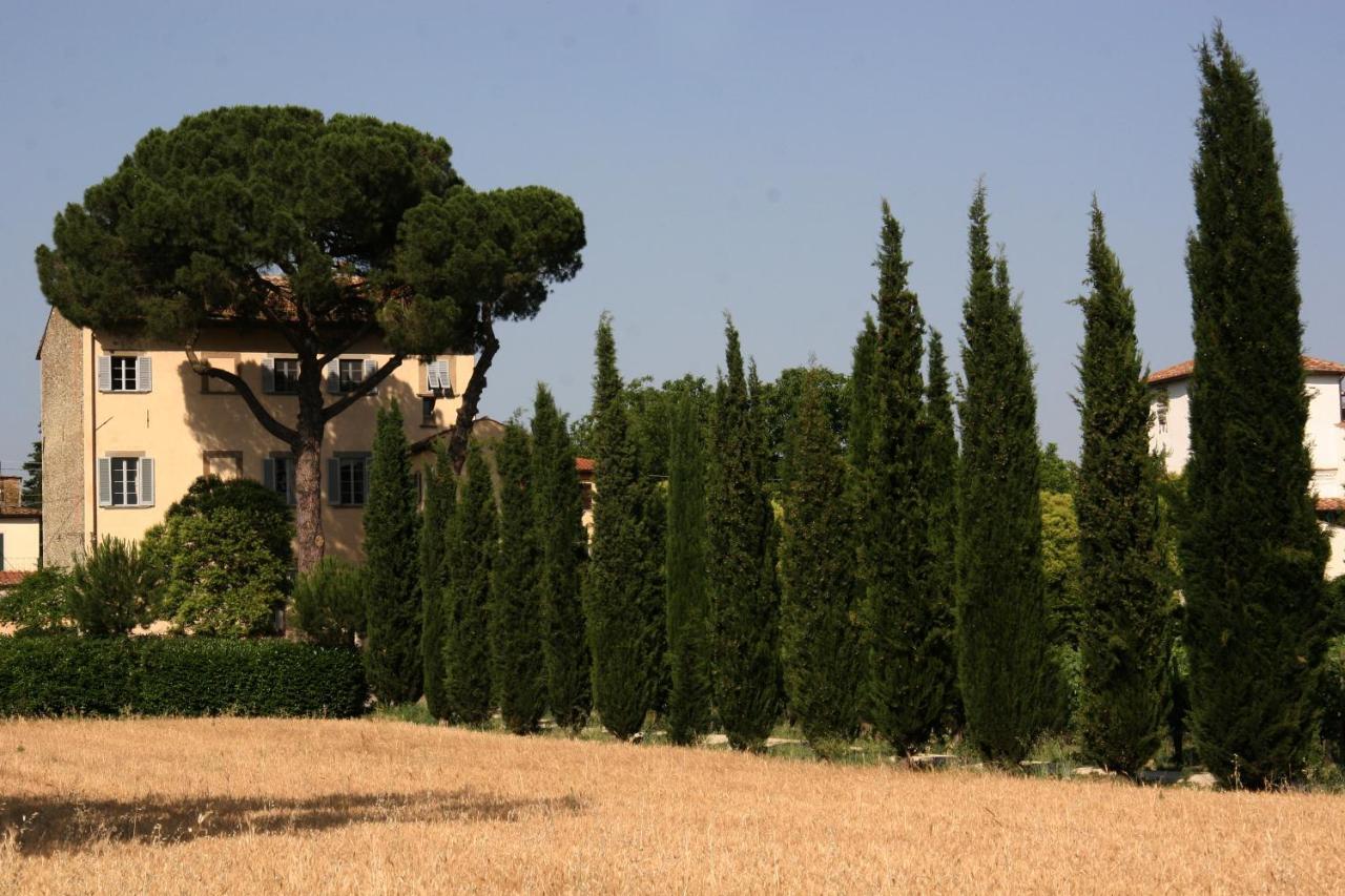 ארצו Villa Guadagni Cappelli מראה חיצוני תמונה